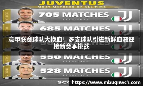 意甲联赛球队大换血！多支球队引进新鲜血液迎接新赛季挑战
