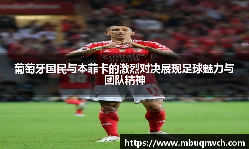 雷火电竞官方网站入口